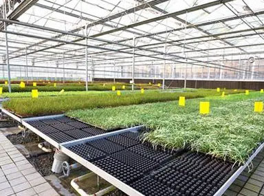 智慧大棚解決方案